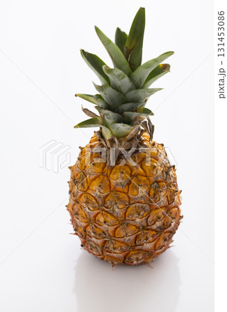 国産の新鮮なパイナップル 131453086