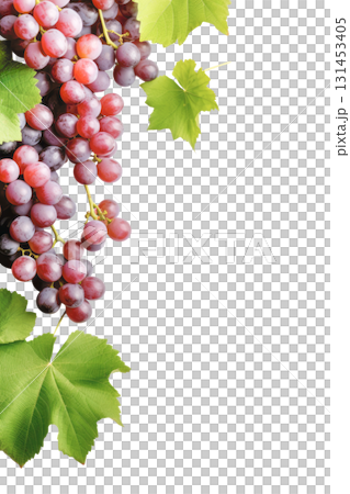 Fresh red and purple grapes with vibrant green leaves. Isolated on transparent background. PNG, cutout 131453405