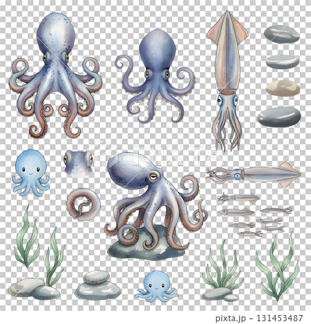 Set of squid characters. Watercolour illustration design. 131453487