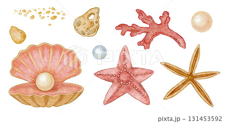 Seashell with pearl and starfish set in watercolor illustration. Pink red coral with sandy stone detail in hand drawn pencil sketch style. Great for marine summer print or card and coastal projects. 131453592