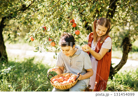 Children picking ripe apples from a tree in sunny orchard, holding a basket during harvest season, symbolizing organic farming, healthy lifestyle, natural food, countryside traditions, Children picking ripe apples from a tree in sunny orchard, holding a basket during harvest season, symbolizing organic farming, healthy lifestyle, natural food, countryside traditions, 131454099
