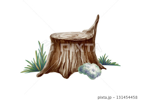 Whimsical tree stump with soft grass and fluffy moss,created with watercolor washes and textured colored pencils.For childrens books,nature themes,and precshool educational projects Whimsical tree stump with soft grass and fluffy moss,created with watercolor washes and textured colored pencils.For childrens books,nature themes,and precshool educational projects 131454458