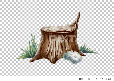 Whimsical tree stump with soft grass and fluffy moss,created with watercolor washes and textured colored pencils.For childrens books,nature themes,and precshool educational projects Whimsical tree stump with soft grass and fluffy moss,created with watercolor washes and textured colored pencils.For childrens books,nature themes,and precshool educational projects 131454458
