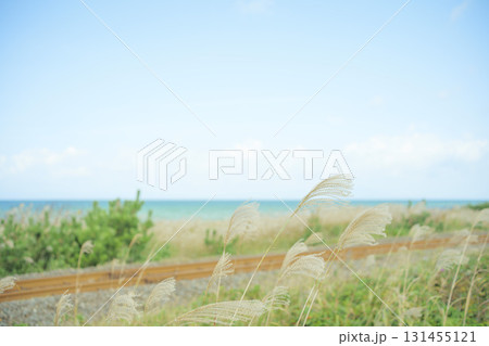 秋晴れの陸奥湾と大湊線の線路　青森県横浜町 131455121