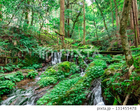 瓜割名水公園:瓜割の滝 瓜割名水公園:瓜割の滝 131455478