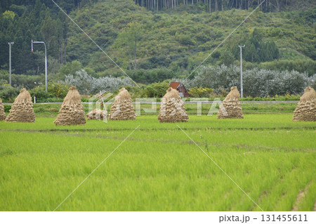 秋の北海道上ノ国町で稲のにお積みの風景を撮影 秋の北海道上ノ国町で稲のにお積みの風景を撮影 131455611