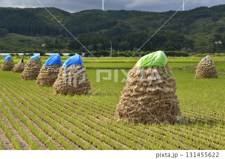 秋の北海道上ノ国町で稲のにお積みの風景を撮影 秋の北海道上ノ国町で稲のにお積みの風景を撮影 131455622