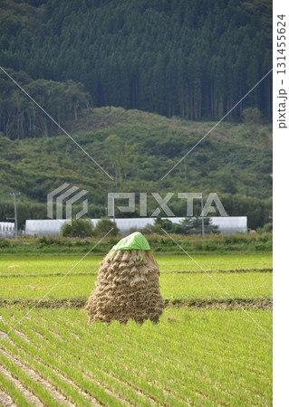 秋の北海道上ノ国町で稲のにお積みの風景を撮影 131455624