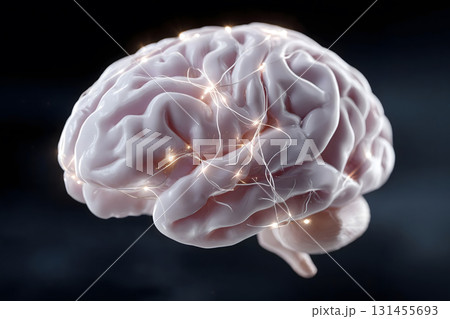 Active Human Brain with Neural Network Connections 131455693