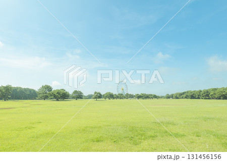 秋のひたち海浜公園 131456156