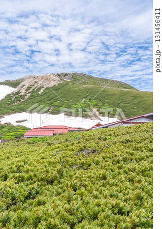 白山室堂平から見上げる御前峰　初夏の白山御前峰登山 131456411
