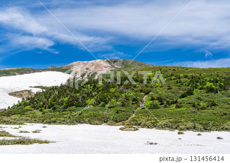 白山弥陀ヶ原から見上げる御前峰　初夏の白山御前峰登山 131456414