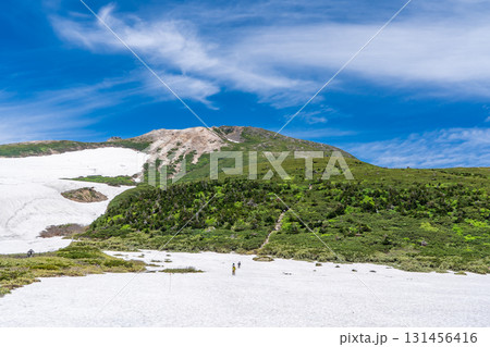 白山弥陀ヶ原から見上げる御前峰　初夏の白山御前峰登山 131456416