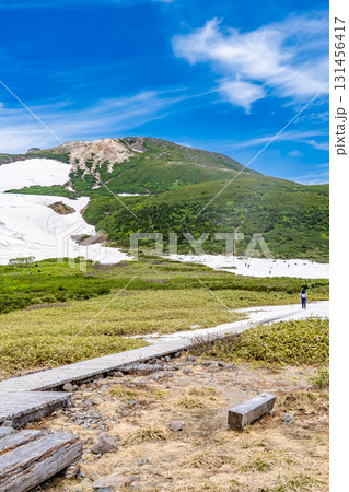 白山弥陀ヶ原から見上げる御前峰　初夏の白山御前峰登山 131456417