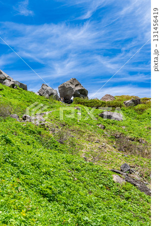 白山弥陀ヶ原の黒ボコ岩（火砕流が運んだ火山弾）ランドマーク　初夏の白山御前峰登山 131456419