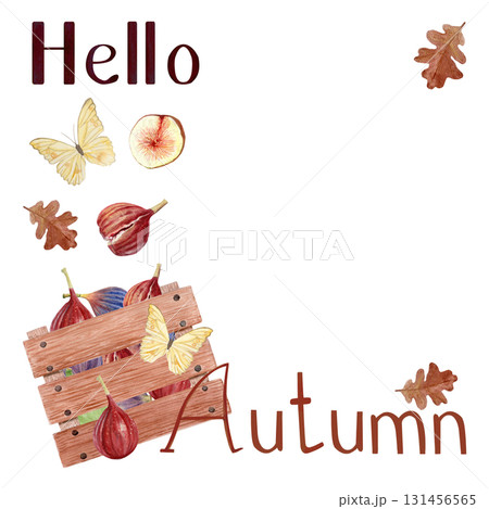 Lettering Hello Autumn, wooden crate filled with figs, oak leaves, and butterfly watercolor autumn template on white. Seasonal harvest illustration for posters, greeting cards, invitations, fall decor Lettering Hello Autumn, wooden crate filled with figs, oak leaves, and butterfly watercolor autumn template on white. Seasonal harvest illustration for posters, greeting cards, invitations, fall decor 131456565