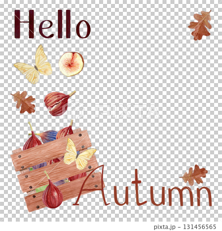 Lettering Hello Autumn, wooden crate filled with figs, oak leaves, and butterfly watercolor autumn template on white. Seasonal harvest illustration for posters, greeting cards, invitations, fall decor Lettering Hello Autumn, wooden crate filled with figs, oak leaves, and butterfly watercolor autumn template on white. Seasonal harvest illustration for posters, greeting cards, invitations, fall decor 131456565