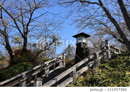 満開の桜の東京都北区の飛鳥山公園の風景 131457360