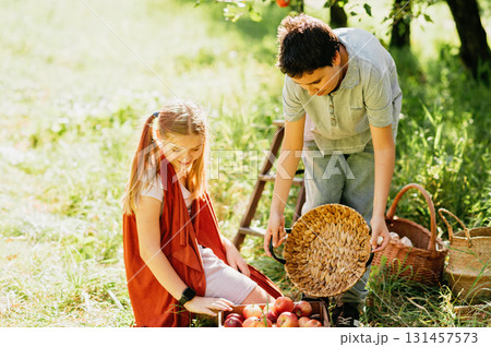 Children picking ripe apples from a tree in sunny orchard, holding a basket during harvest season, symbolizing organic farming, healthy lifestyle, natural food, countryside traditions, 131457573