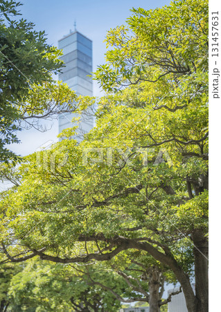 千葉市 臨港公園プロムナード 131457631