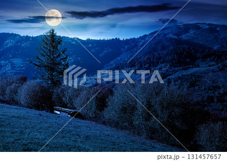 autumn mountain landscape at night. beautiful view of trees in fall foliage on the hillside. alps of countryside in full moon light under dark sky. scenery with scary forest on slope autumn mountain landscape at night. beautiful view of trees in fall foliage on the hillside. alps of countryside in full moon light under dark sky. scenery with scary forest on slope 131457657