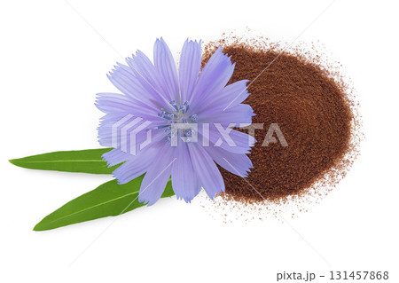 Chicory powder and flower isolated on white background. Cichorium intybus. Top view. Flat lay Chicory powder and flower isolated on white background. Cichorium intybus. Top view. Flat lay 131457868