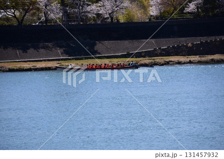 日本の愛知県の犬山市 春の犬山城と満開の桜 木曽川を進む遊覧船と美しい桜並木 花見を楽しむ観光客 日本の愛知県の犬山市 春の犬山城と満開の桜 木曽川を進む遊覧船と美しい桜並木 花見を楽しむ観光客 131457932