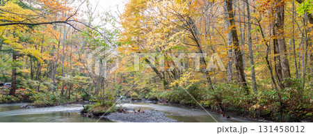 「青森県」紅葉の奥入瀬渓流 十和田市 「青森県」紅葉の奥入瀬渓流 十和田市 131458012