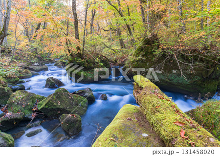 「青森県」紅葉の奥入瀬渓流 十和田市 「青森県」紅葉の奥入瀬渓流 十和田市 131458020