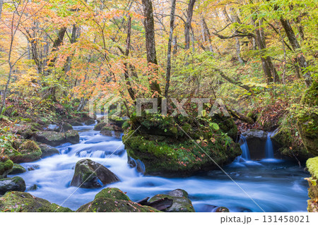 「青森県」紅葉の奥入瀬渓流　十和田市 131458021