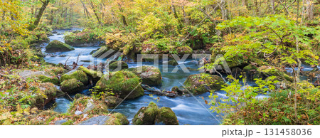 「青森県」紅葉の奥入瀬渓流 十和田市 「青森県」紅葉の奥入瀬渓流 十和田市 131458036