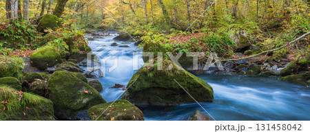 「青森県」紅葉の奥入瀬渓流 十和田市 「青森県」紅葉の奥入瀬渓流 十和田市 131458042