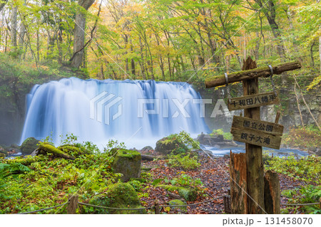 「青森県」紅葉の奥入瀬渓流 十和田市 「青森県」紅葉の奥入瀬渓流 十和田市 131458070