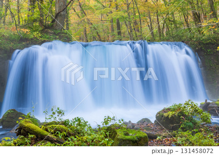 「青森県」紅葉の奥入瀬渓流　十和田市 131458072