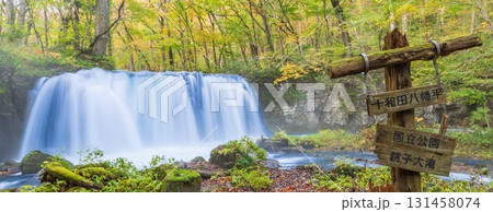 「青森県」紅葉の奥入瀬渓流　十和田市 131458074