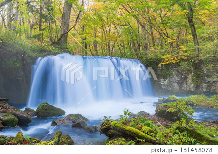 「青森県」紅葉の奥入瀬渓流　十和田市 131458078