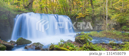 「青森県」紅葉の奥入瀬渓流　十和田市 131458079