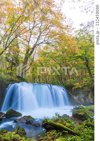 「青森県」紅葉の奥入瀬渓流 十和田市 「青森県」紅葉の奥入瀬渓流 十和田市 131458080