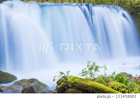 「青森県」紅葉の奥入瀬渓流　十和田市 131458081