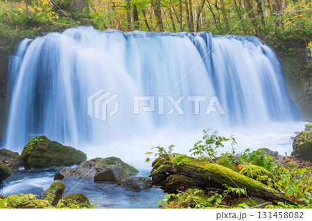 「青森県」紅葉の奥入瀬渓流 十和田市 「青森県」紅葉の奥入瀬渓流 十和田市 131458082