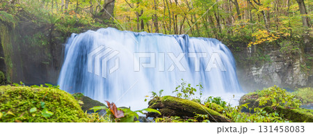 「青森県」紅葉の奥入瀬渓流　十和田市 131458083