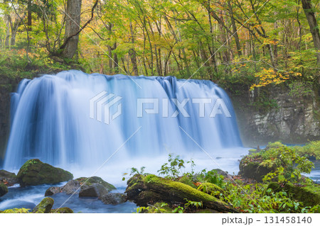 「青森県」紅葉の奥入瀬渓流 十和田市 「青森県」紅葉の奥入瀬渓流 十和田市 131458140