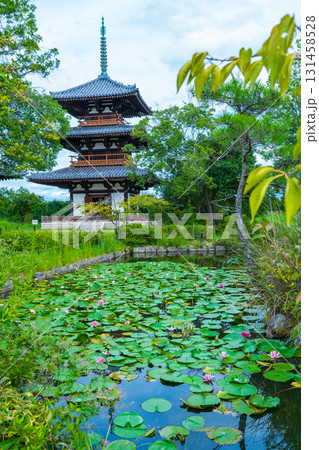 奈良県斑鳩町 法起寺の三重塔と池のスイレン 奈良県斑鳩町 法起寺の三重塔と池のスイレン 131458528