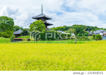 奈良県斑鳩町　法起寺の三重塔と黄金色の田んぼ 131458531