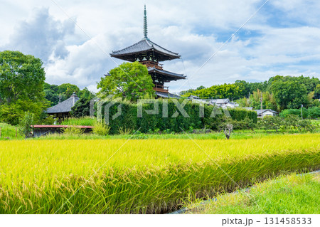 奈良県斑鳩町　法起寺の三重塔と黄金色の田んぼ 131458533