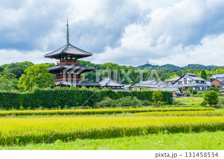 奈良県斑鳩町　法起寺の三重塔と黄金色の田んぼ 131458534