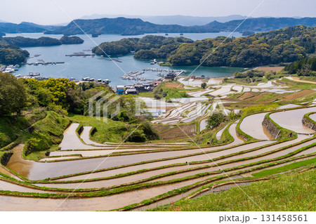 《佐賀県》大浦の棚田・伊万里湾をのぞむ田園風景 131458561