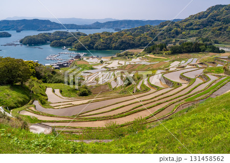 《佐賀県》大浦の棚田・伊万里湾をのぞむ田園風景 131458562