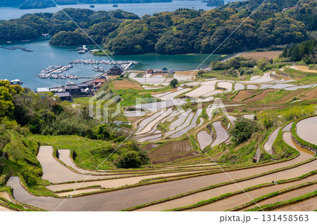 《佐賀県》大浦の棚田・伊万里湾をのぞむ田園風景 131458563