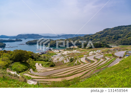 《佐賀県》大浦の棚田・伊万里湾をのぞむ田園風景 《佐賀県》大浦の棚田・伊万里湾をのぞむ田園風景 131458564